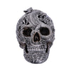 Cranial Drakos (Silver) 19.5cm Ornament