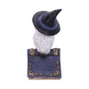 Avian Spell (Blue) 12.5cm Ornament