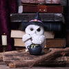 Owl Potion 17.5cm Ornament