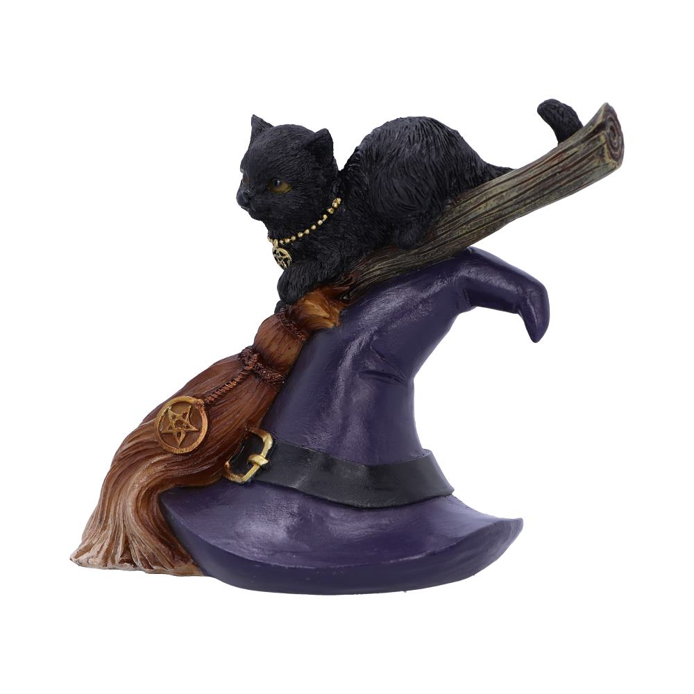 Bewitched 13.3cm Ornament