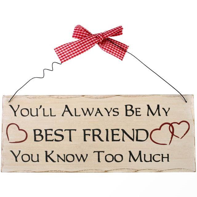 You'll Always Be My Friend Hanging Sign - TwoBeeps.co.uk